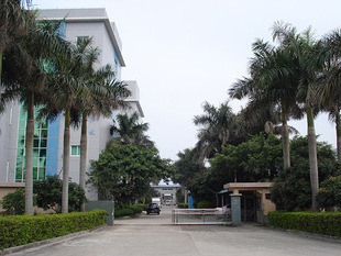 工厂定制生产 电子交联PE泡棉与塑胶电子元器件导电包装内衬的专业解决方案